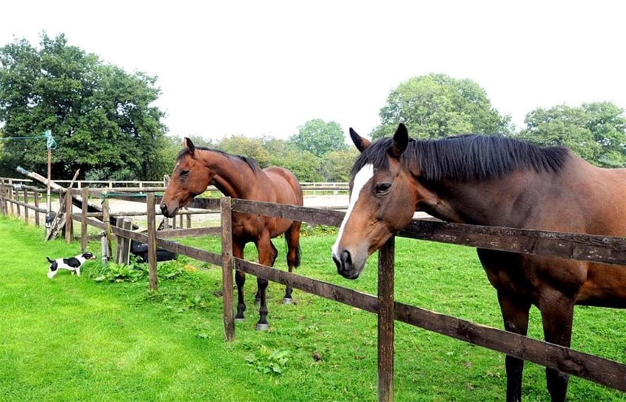 Little Rushbrook Cottages Tanworth Oda fotoğraf