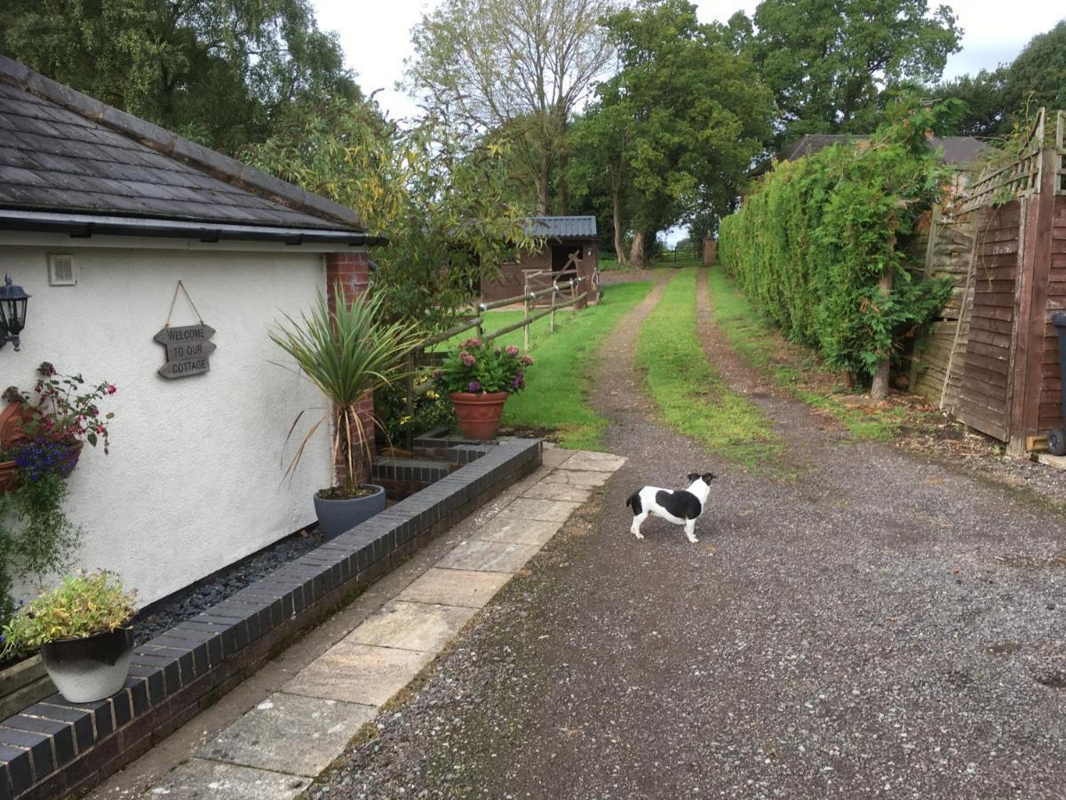 Little Rushbrook Cottages Tanworth Dış mekan fotoğraf